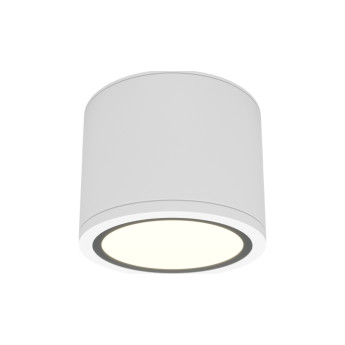 Потолочный светильник MAYTONI RENDO C095CL-GX53-W